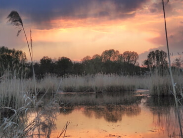 Naturschutzgebiet Saalbachniederungen