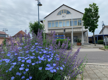 Rathaus Karlsdorf